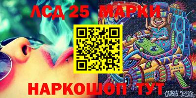 apvp Краснодар