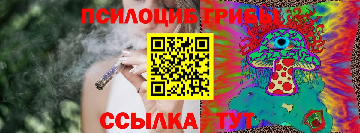 Ефремов  Псилоцибиновые грибы мухоморы  Галлюциногенные грибы Psilocybine cubensis  Вход с VPN 